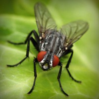 /album/www-nylb-com/photolia-a01-jpg/