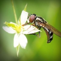 /album/www-nylb-com/photolia-a02-jpg/
