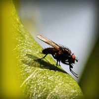 /album/www-nylb-com/photolia-a04-jpg/