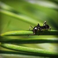 /album/www-nylb-com/photolia-a05-jpg/