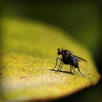 /album/www-nylb-com/photolia-a07-jpg/