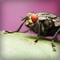 /album/www-nylb-com/photolia-a08-jpg/